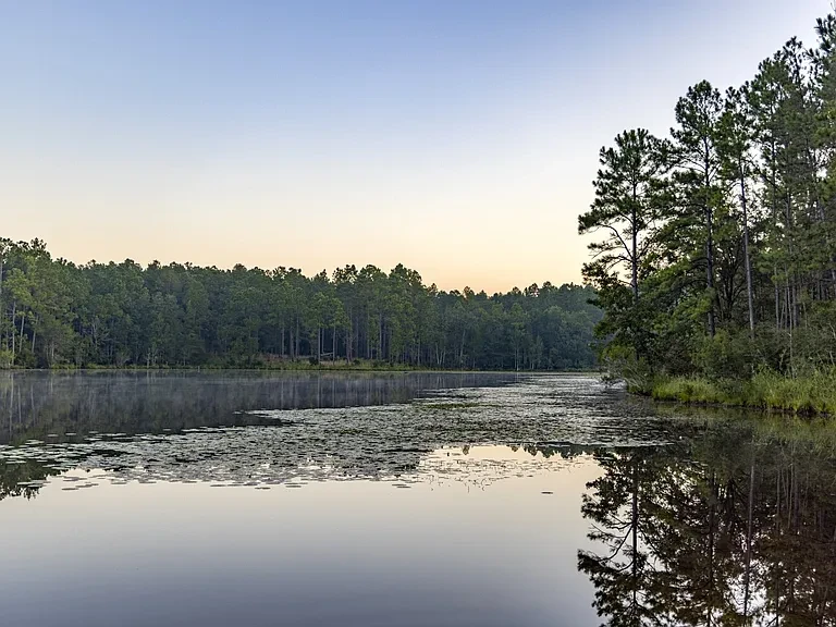 Deer Park Plantation landscape